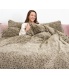 teddy tiger taupe 3.jpg